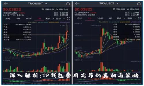  深入解析：TP钱包费用高昂的真相与策略